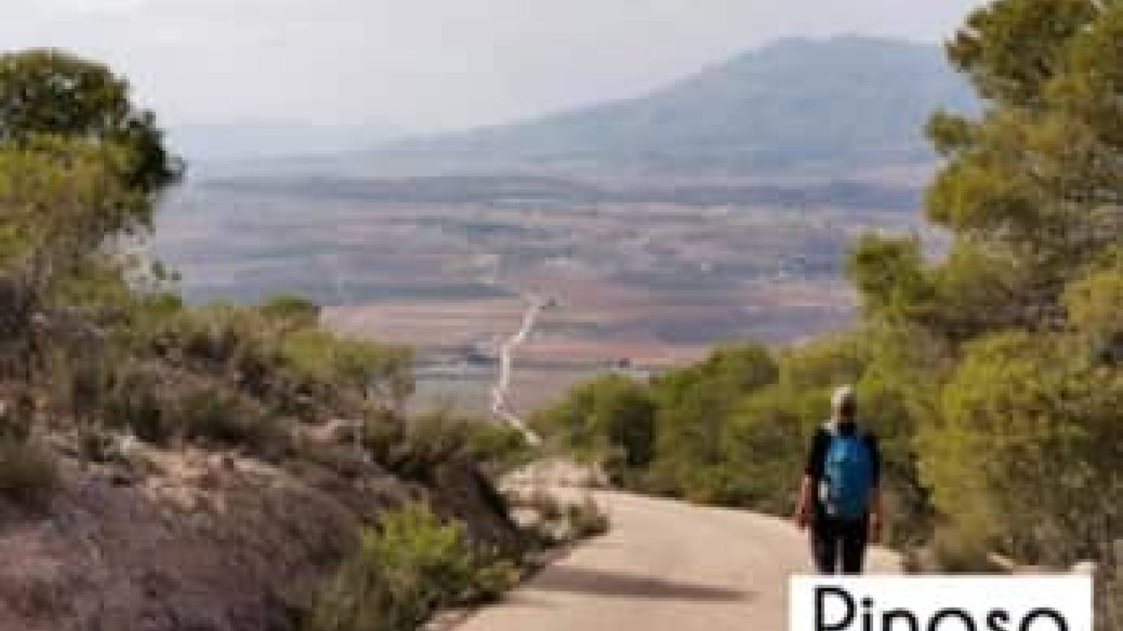 New Build - Villa - Pinoso