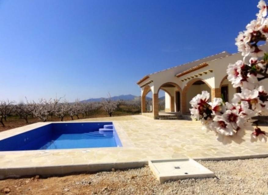 New Build - Villa - Pinoso