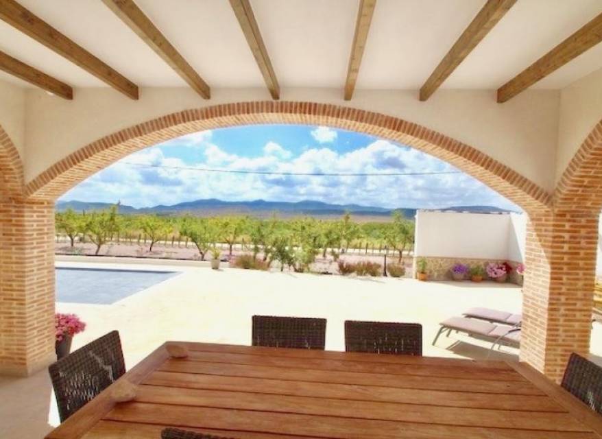 New Build - Villa - Pinoso