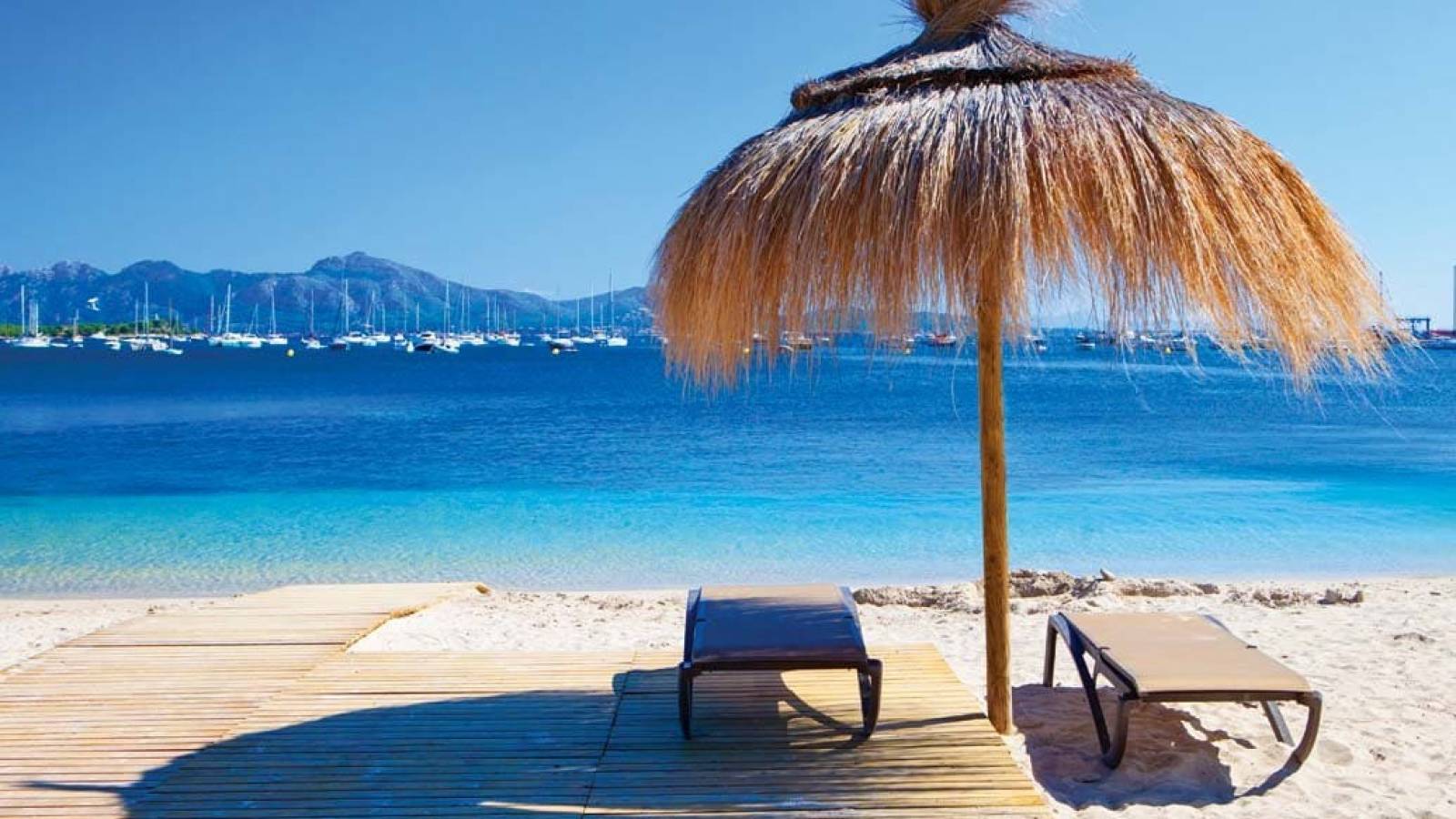 Nieuwbouw - Appartement - Aguilas