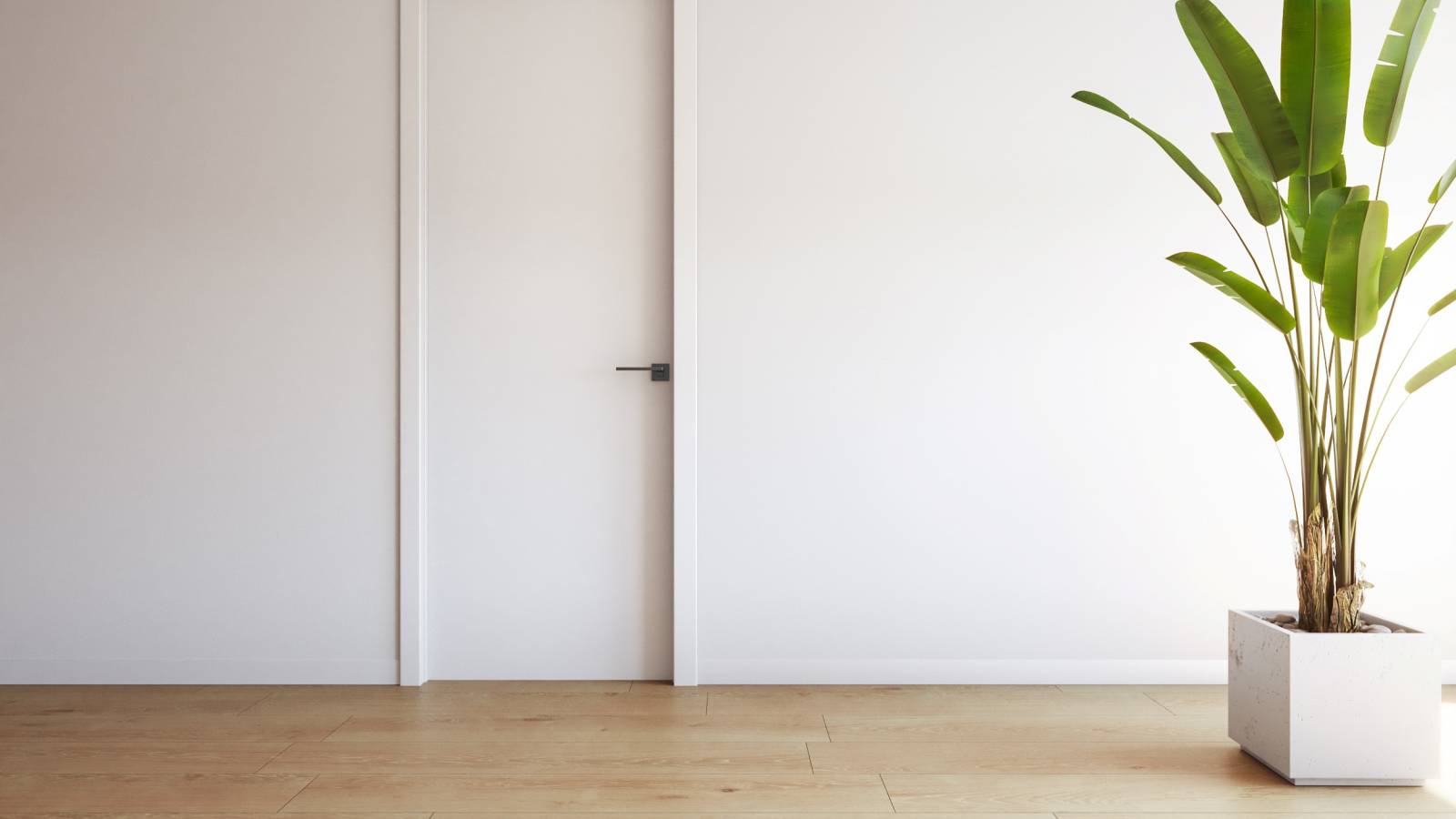 Nieuwbouw - Appartement - Torrevieja