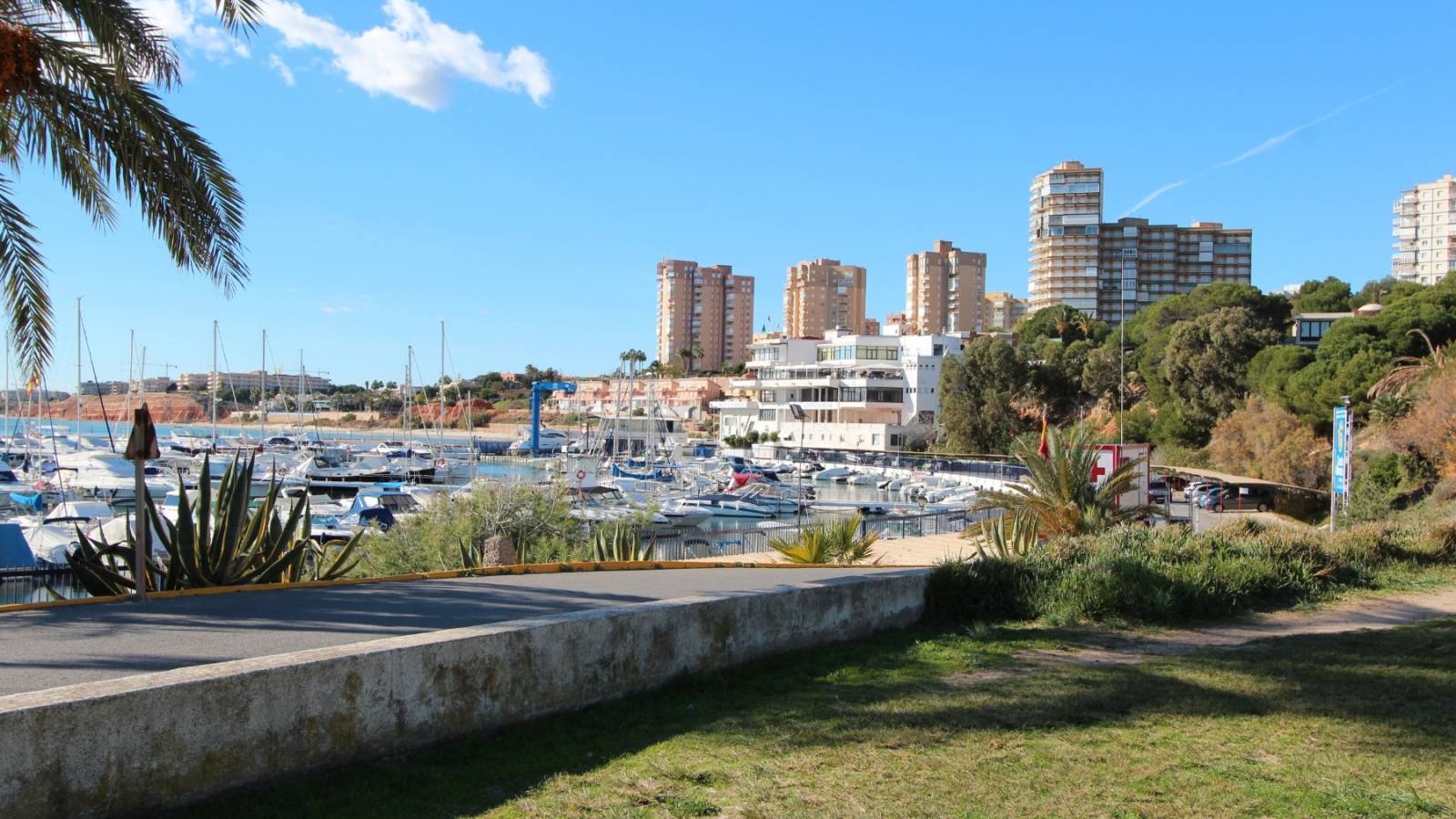 Nieuwbouw - Gelijkvloers - Dehesa de campoamor - Campoamor