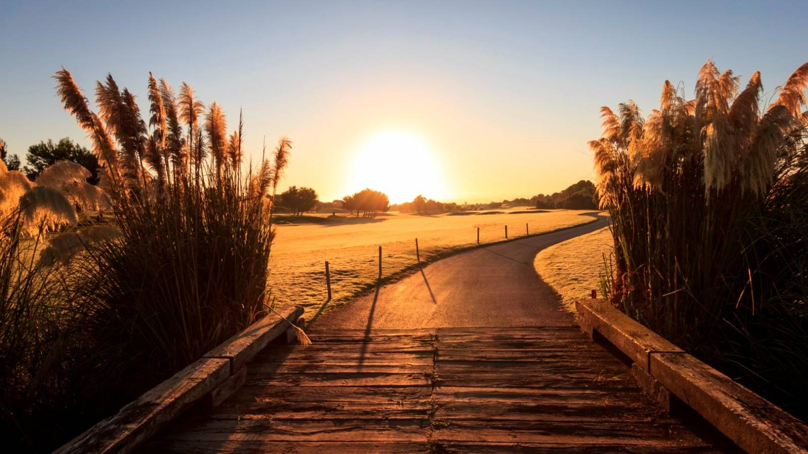 Nieuwbouw - Gelijkvloers - Lo Romero Golf