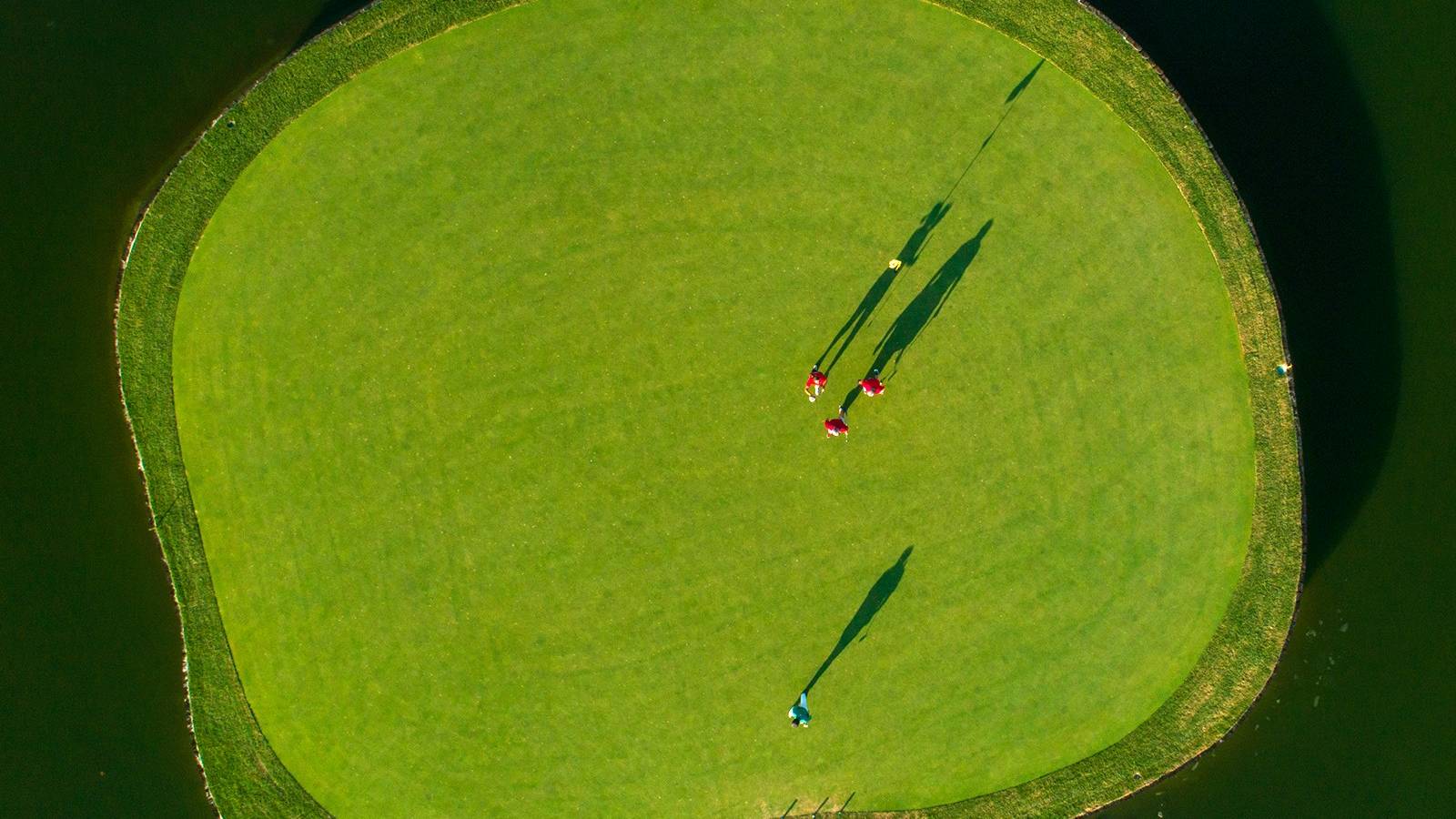 Nieuwbouw - Gelijkvloers - Lo Romero Golf