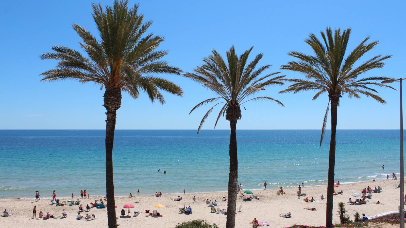 Nieuwbouw - Penthouse - Mil Palmeras