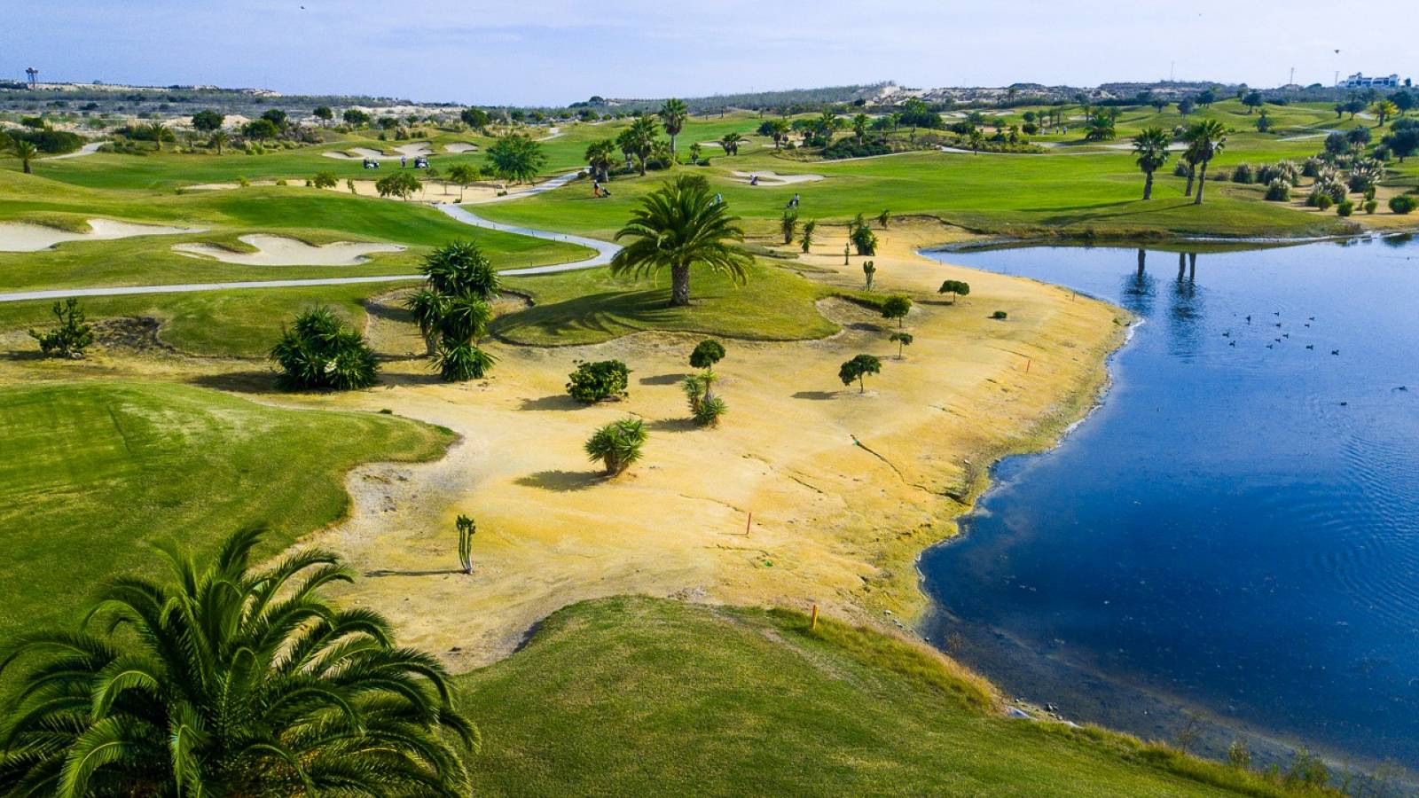 Nieuwbouw - Penthouse - Orihuela - Vistabella golf