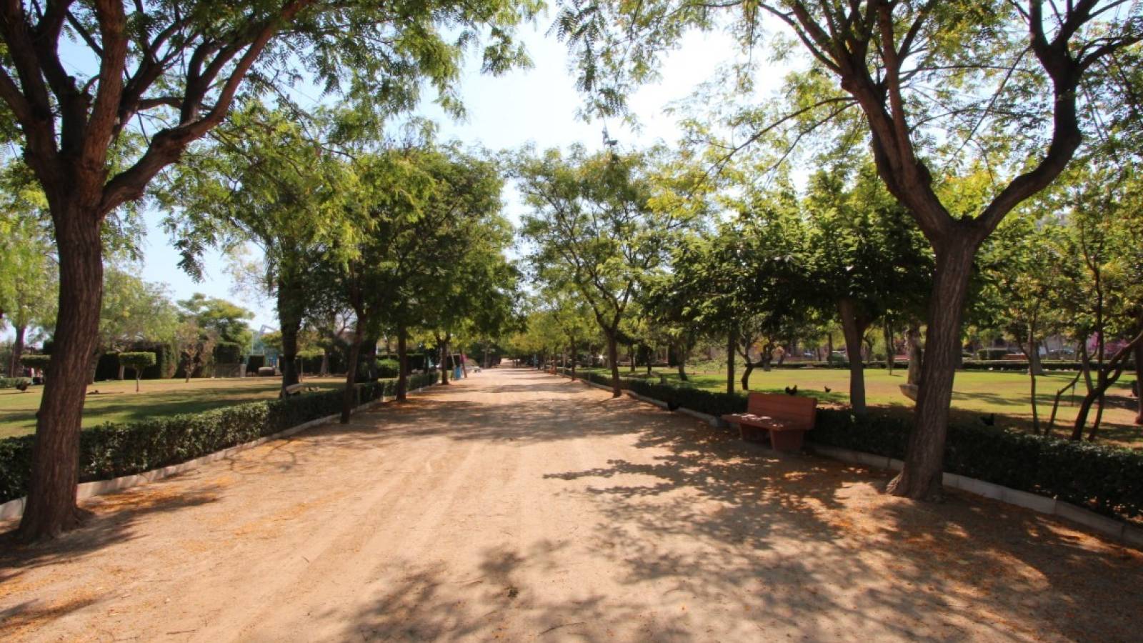 Nieuwbouw - Penthouse - Torrevieja