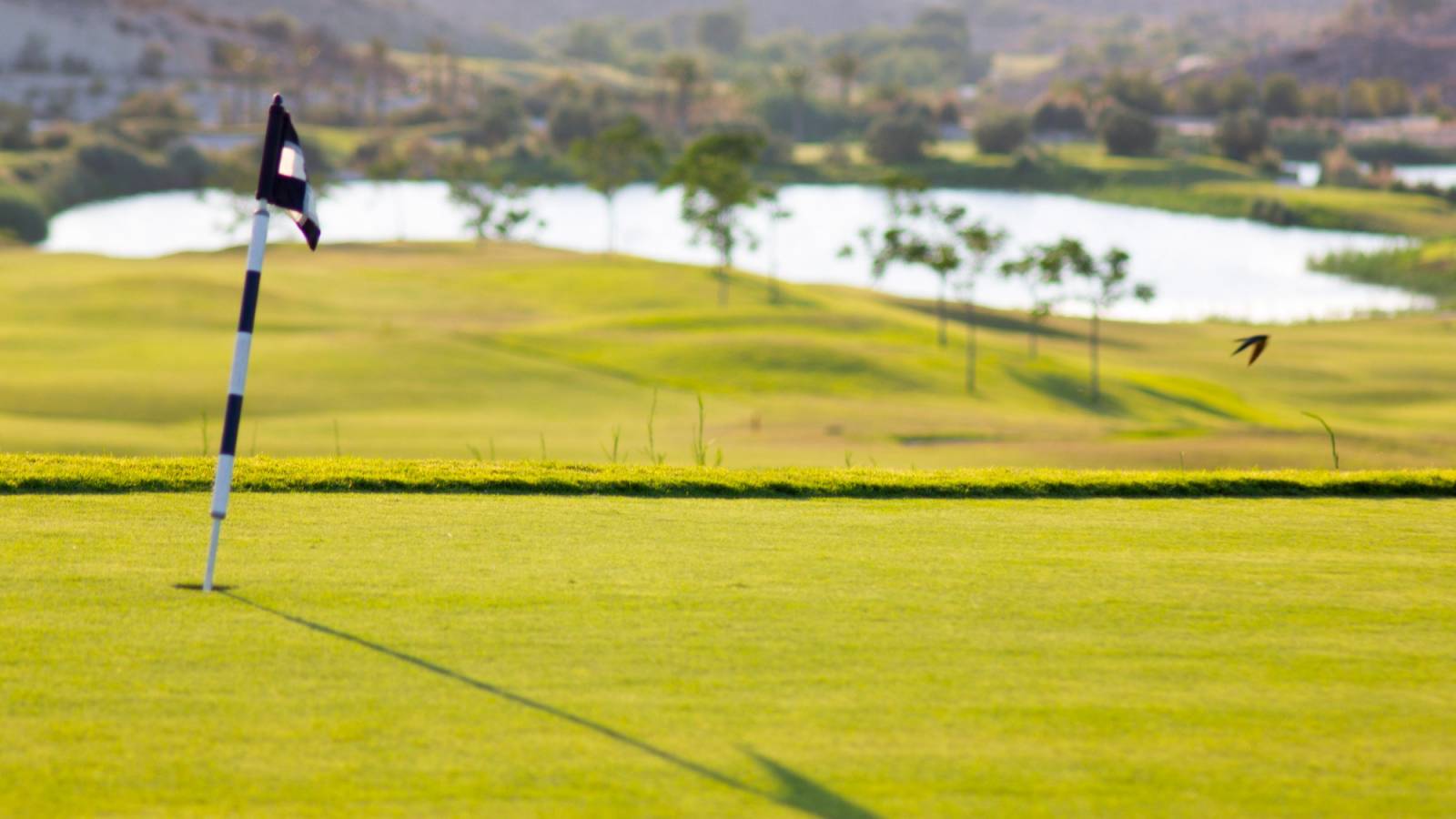 Nieuwbouw - Villa - Monforte del Cid