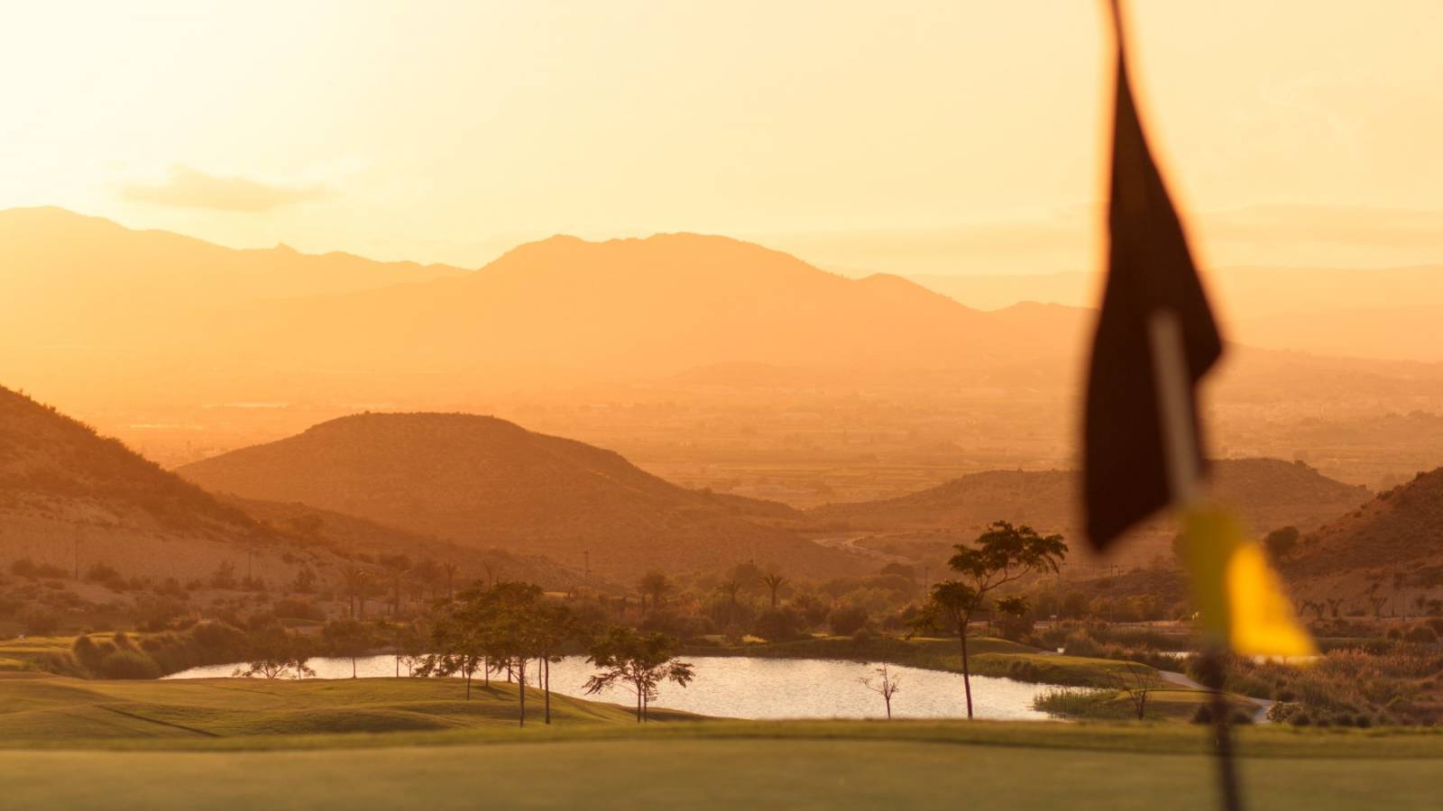 Nieuwbouw - Villa - Monforte del Cid