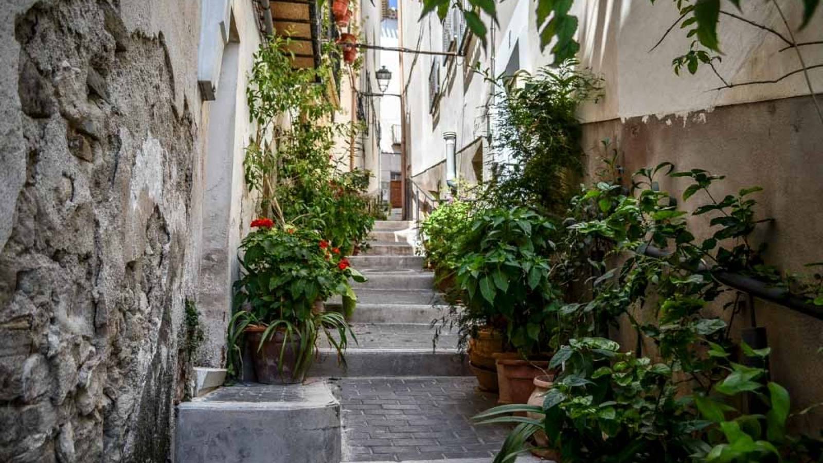 Nieuwbouw - Villa - Moratalla