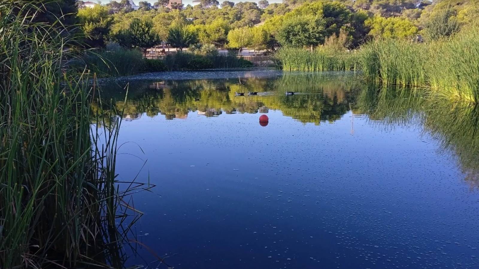 Nieuwbouw - Villa - Rojales