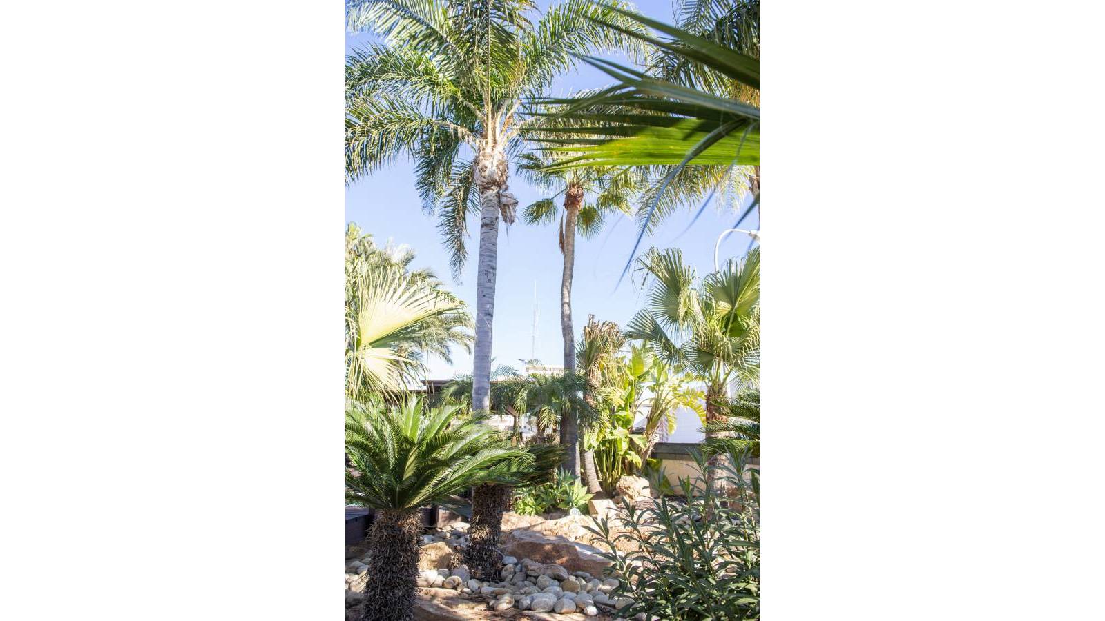 Nieuwbouw - Villa - San Pedro del Pinatar