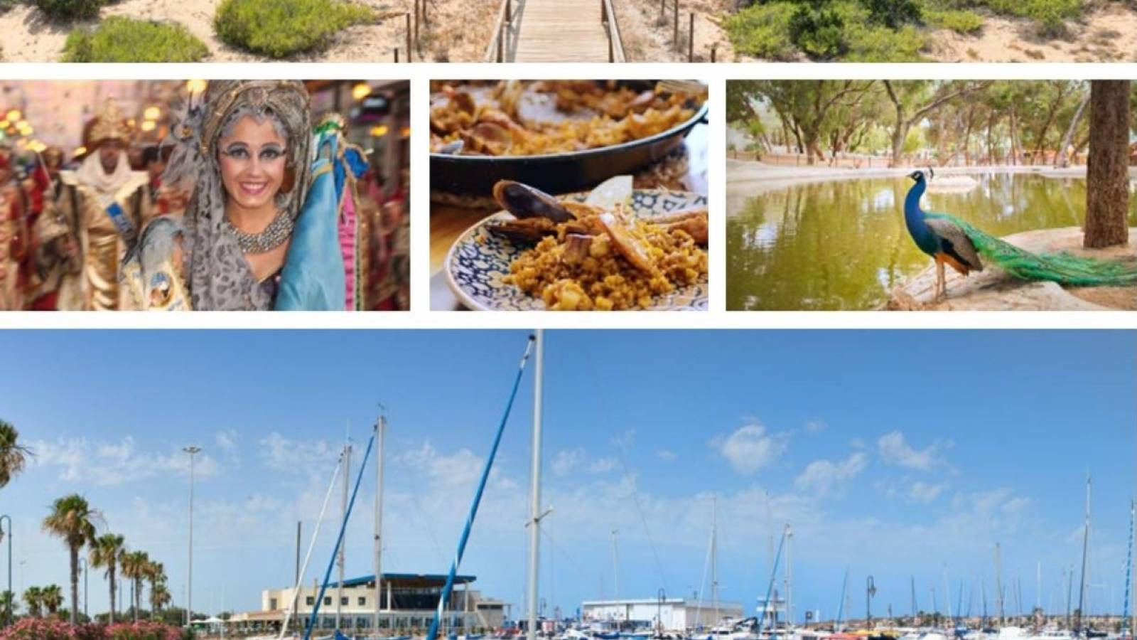 Nouvelle construction - Appartement - Guardamar del Segura