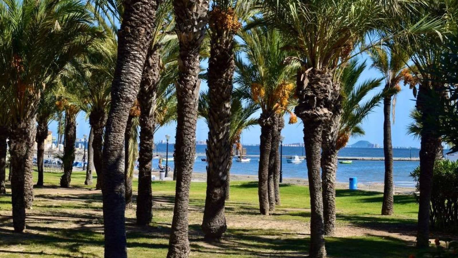 Nouvelle construction - Appartement - Serena Golf