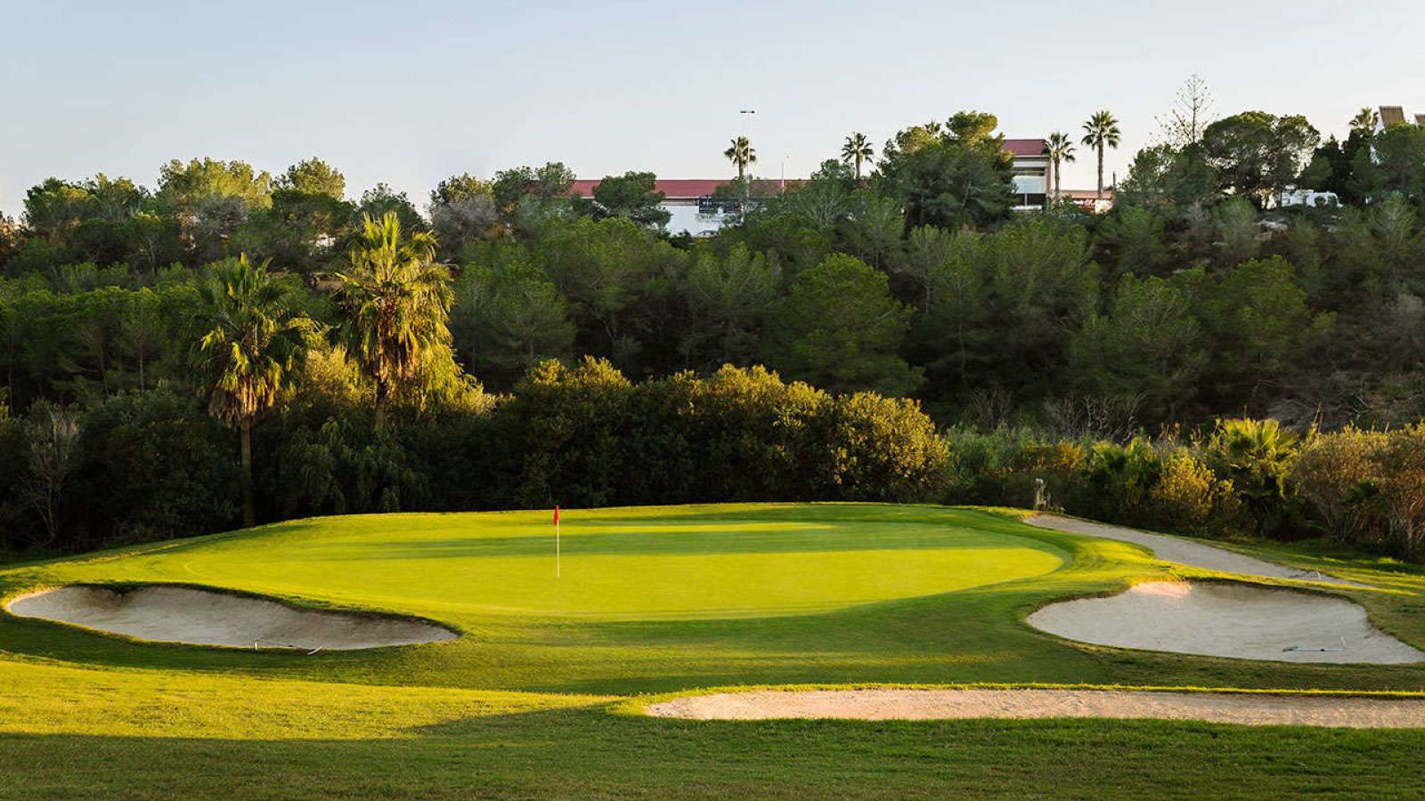 Nouvelle construction - Maison  - Algorfa