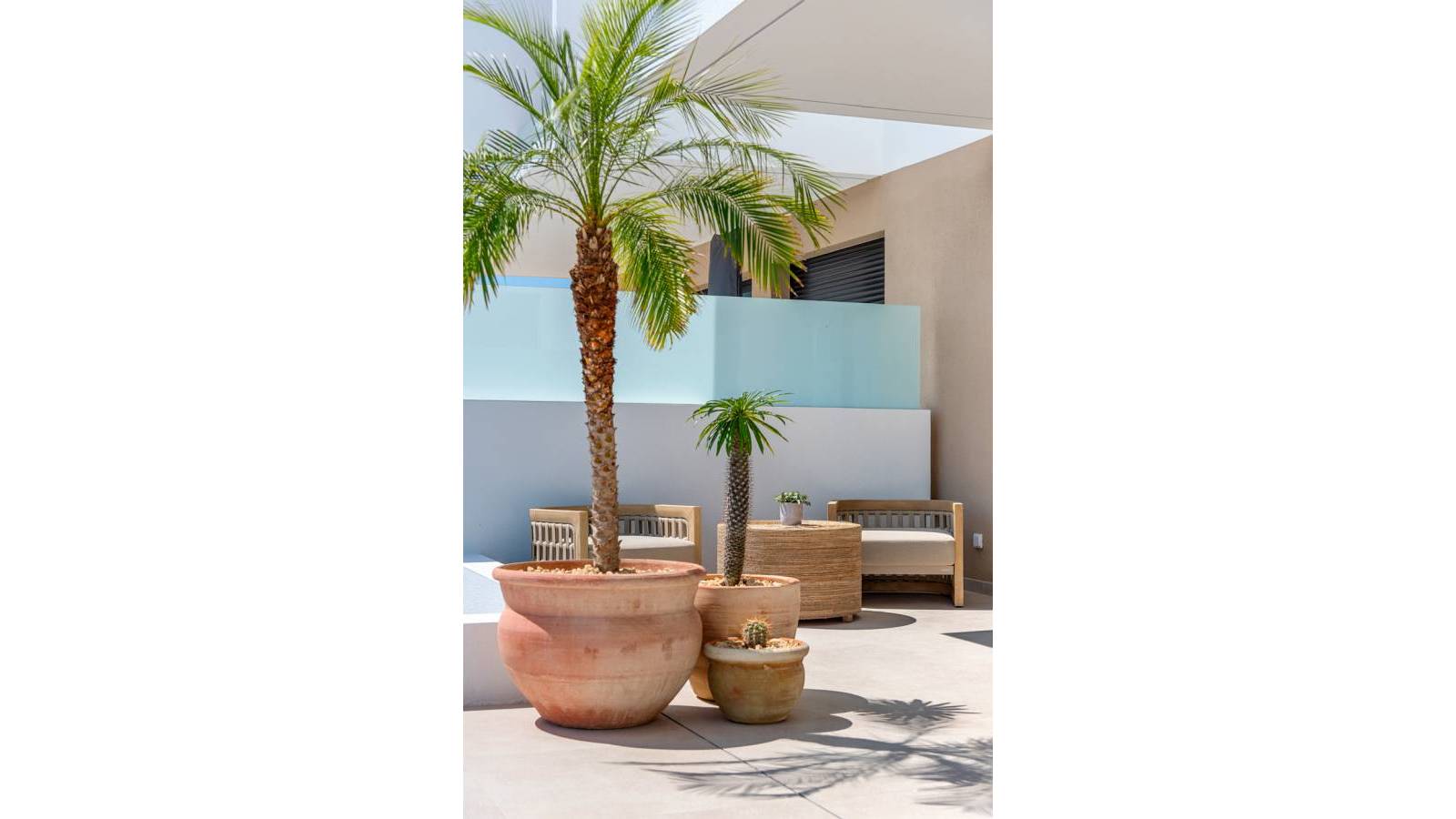 Nouvelle construction - Maison  - Dolores