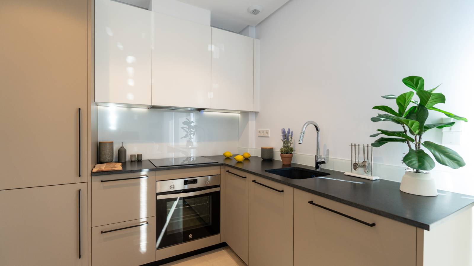 Nouvelle construction - Maison  - Elche