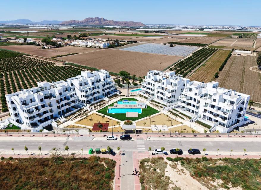 Nouvelle construction - Maison  - Torre Pacheco