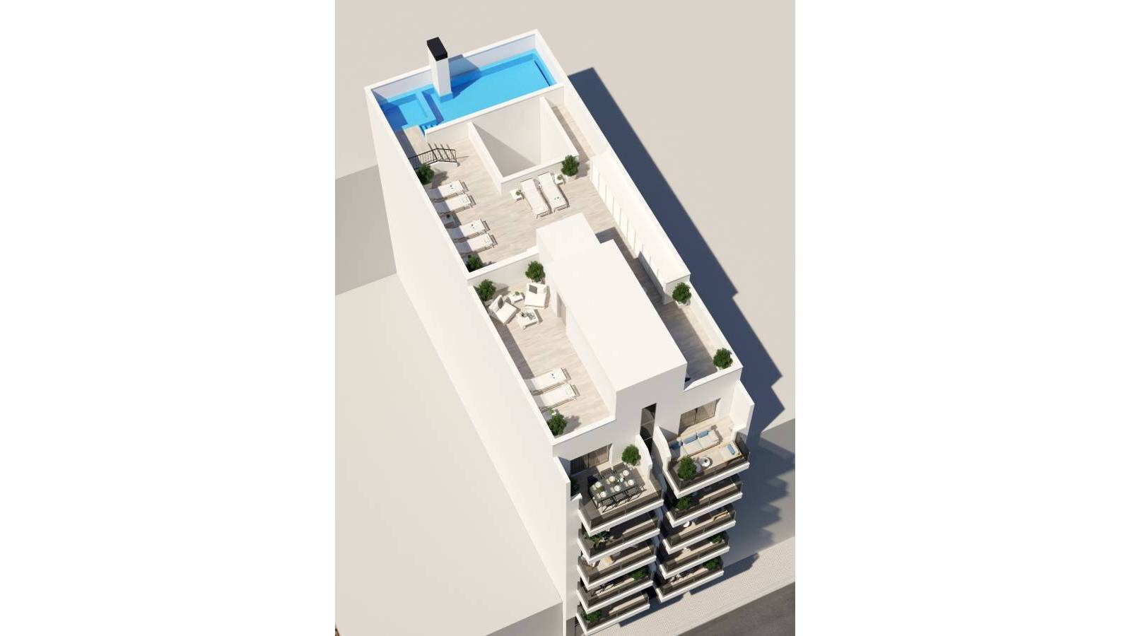 Nouvelle construction - Maison  - Torrevieja