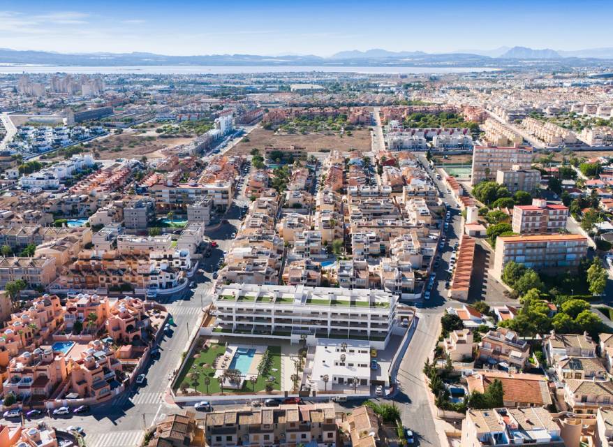 Nouvelle construction - Maison  - Torrevieja