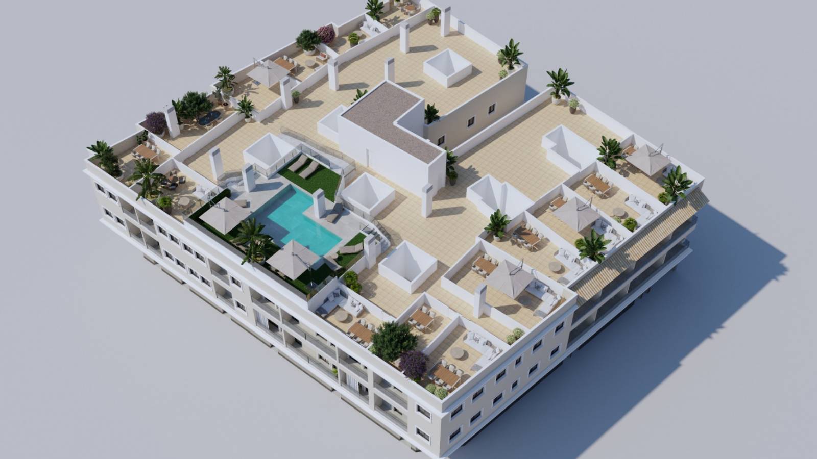 Nouvelle construction - Penthouse - Algorfa