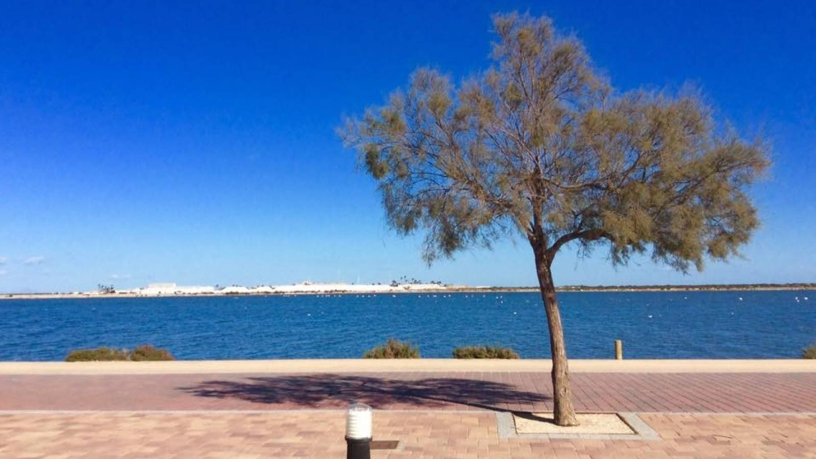 Nouvelle construction - RDC - San Pedro del Pinatar