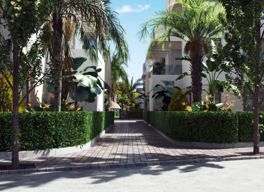 Nouvelle construction - RDC - Santa Rosalía