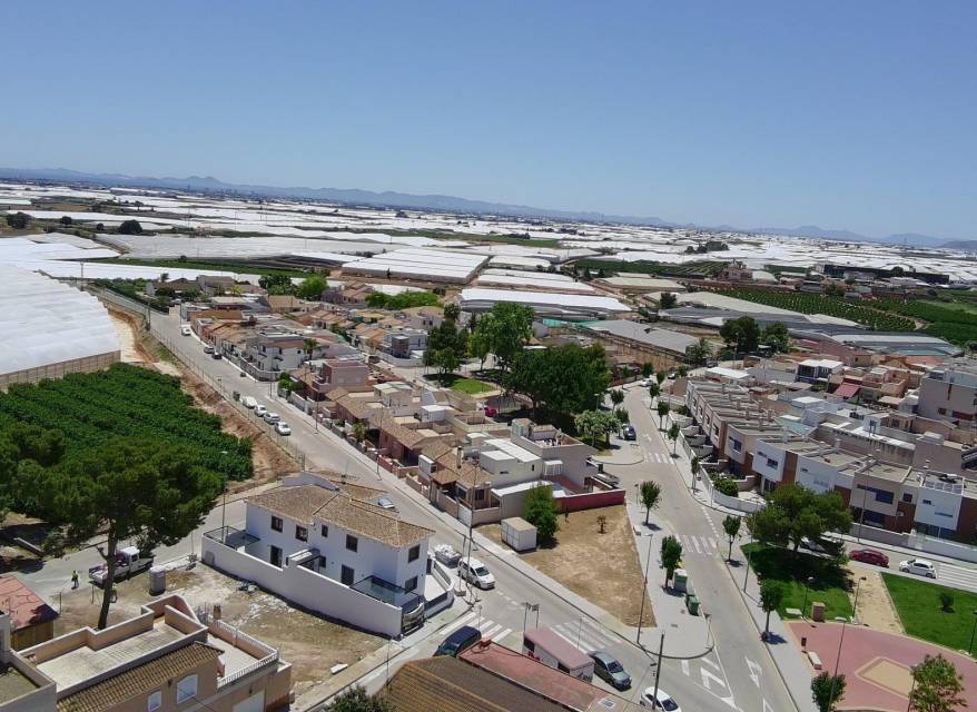 Nouvelle construction - semi-detached - Pilar de la Horadada