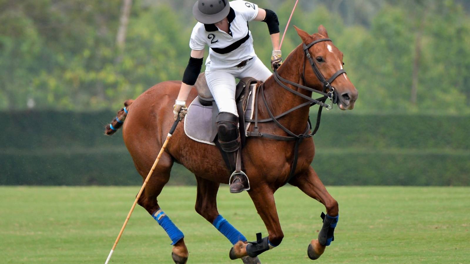 Nouvelle construction - Villa - Benahavis-Marbella