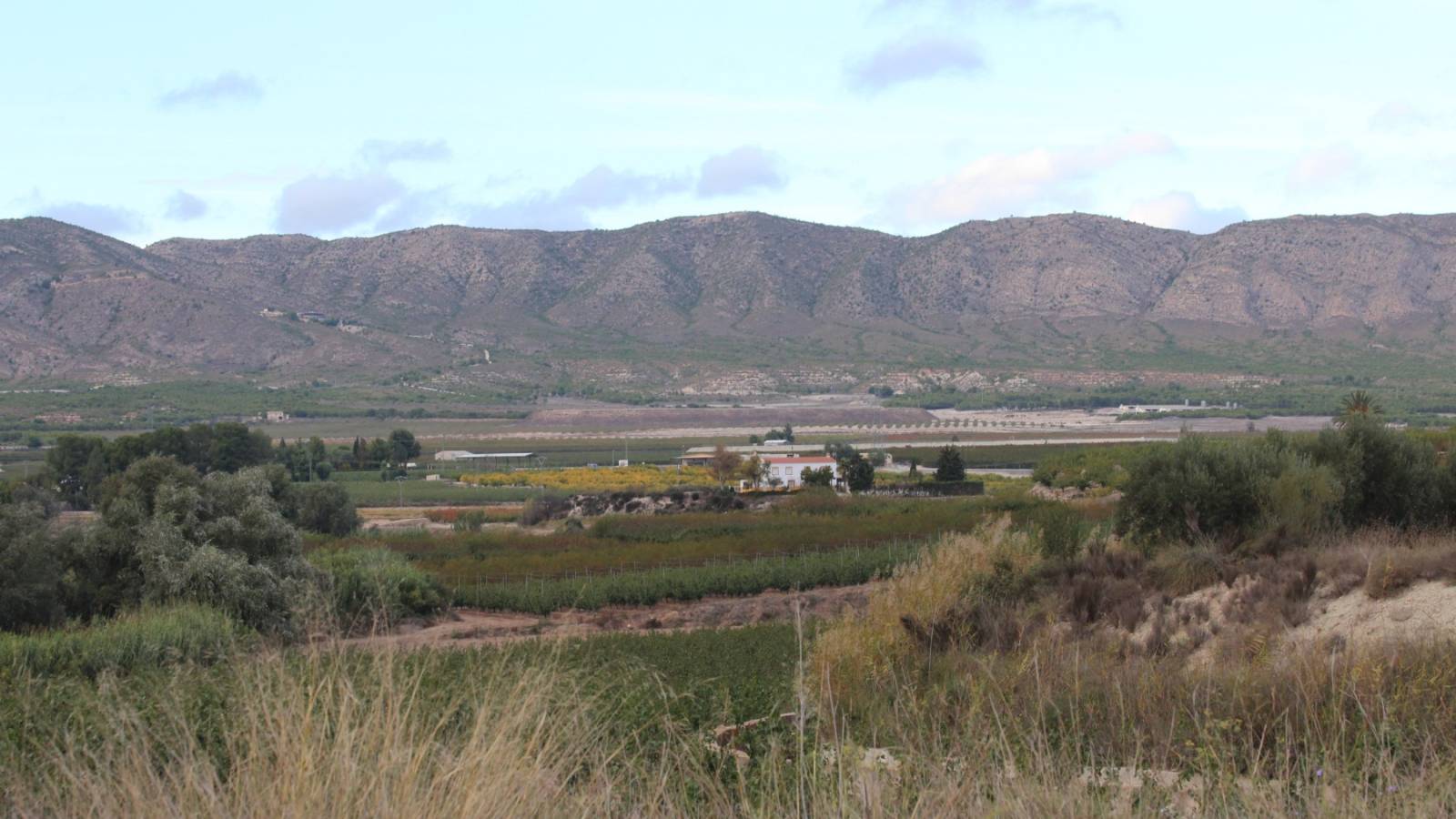 Nouvelle construction - Villa - Calasparra