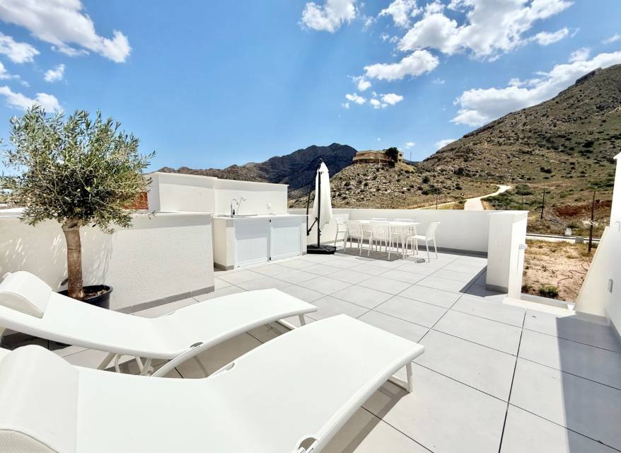 Nouvelle construction - Villa - Cox