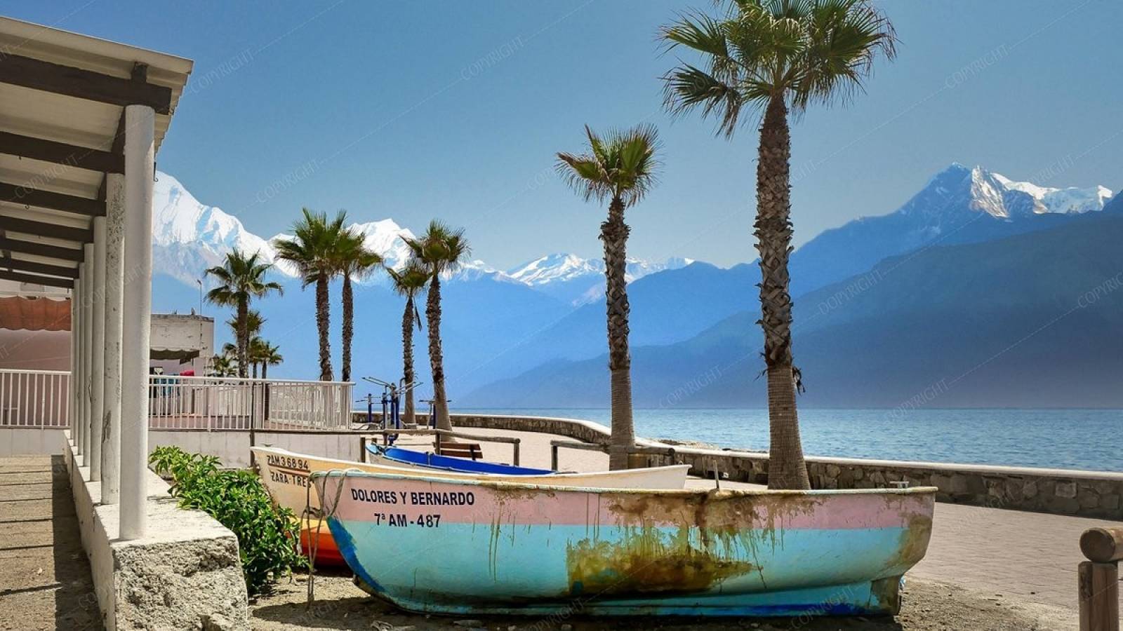 Nouvelle construction - Villa - Dolores