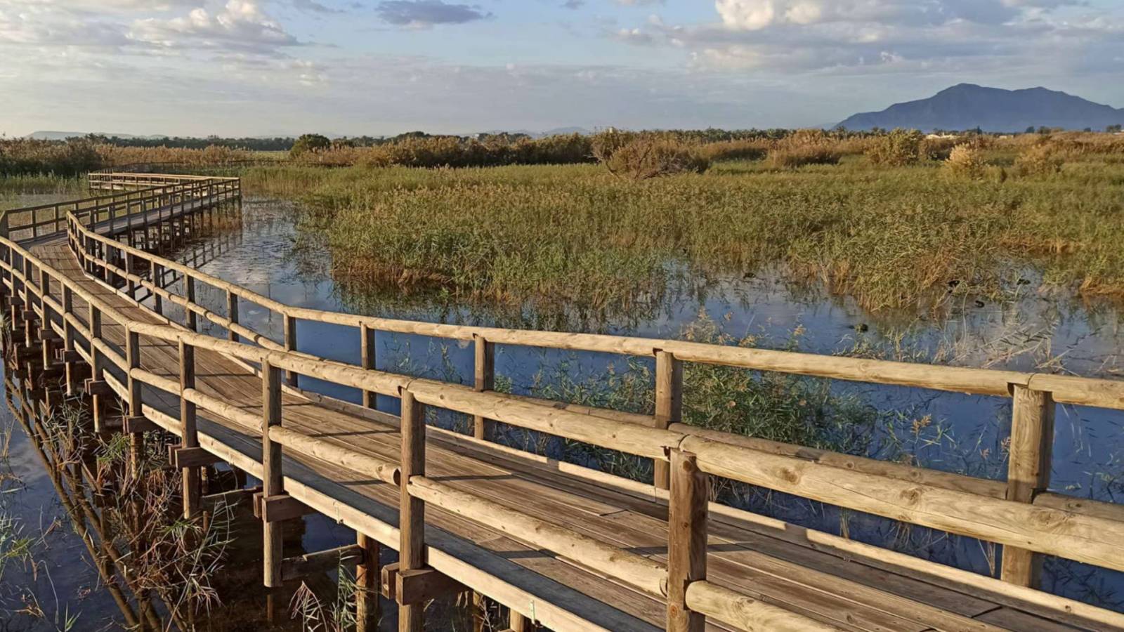 Nouvelle construction - Villa - Dolores