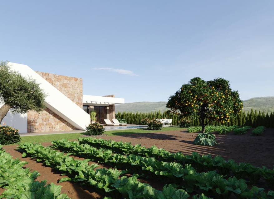 Nouvelle construction - Villa - Fuente Alamo