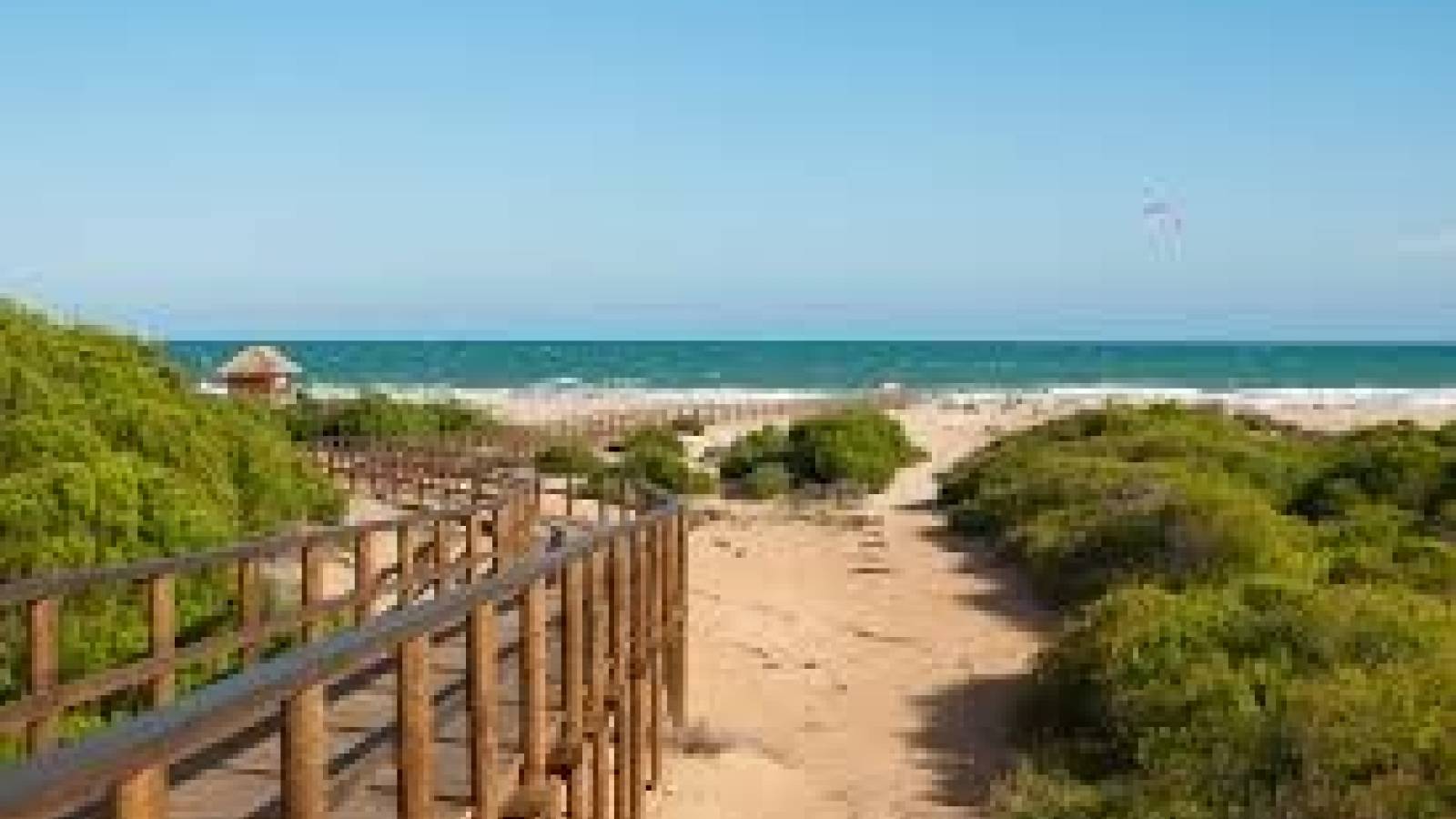 Nouvelle construction - Villa - La Marina