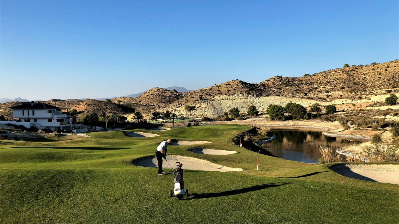 Nouvelle construction - Villa - Monforte del Cid