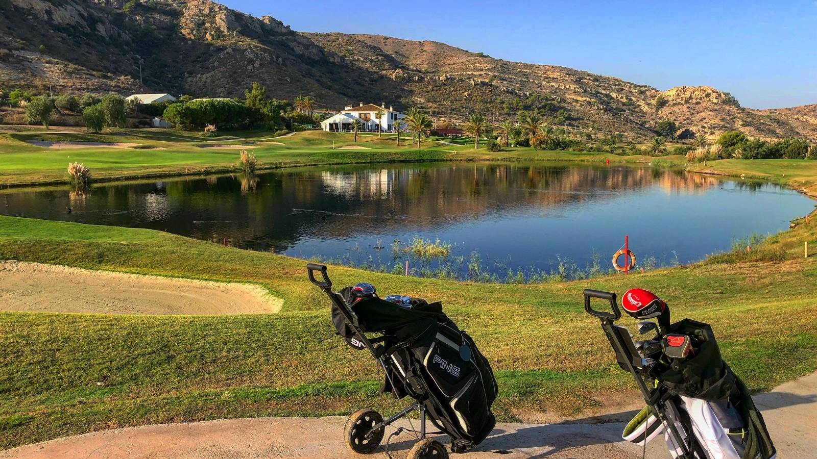 Nouvelle construction - Villa - Monforte del Cid