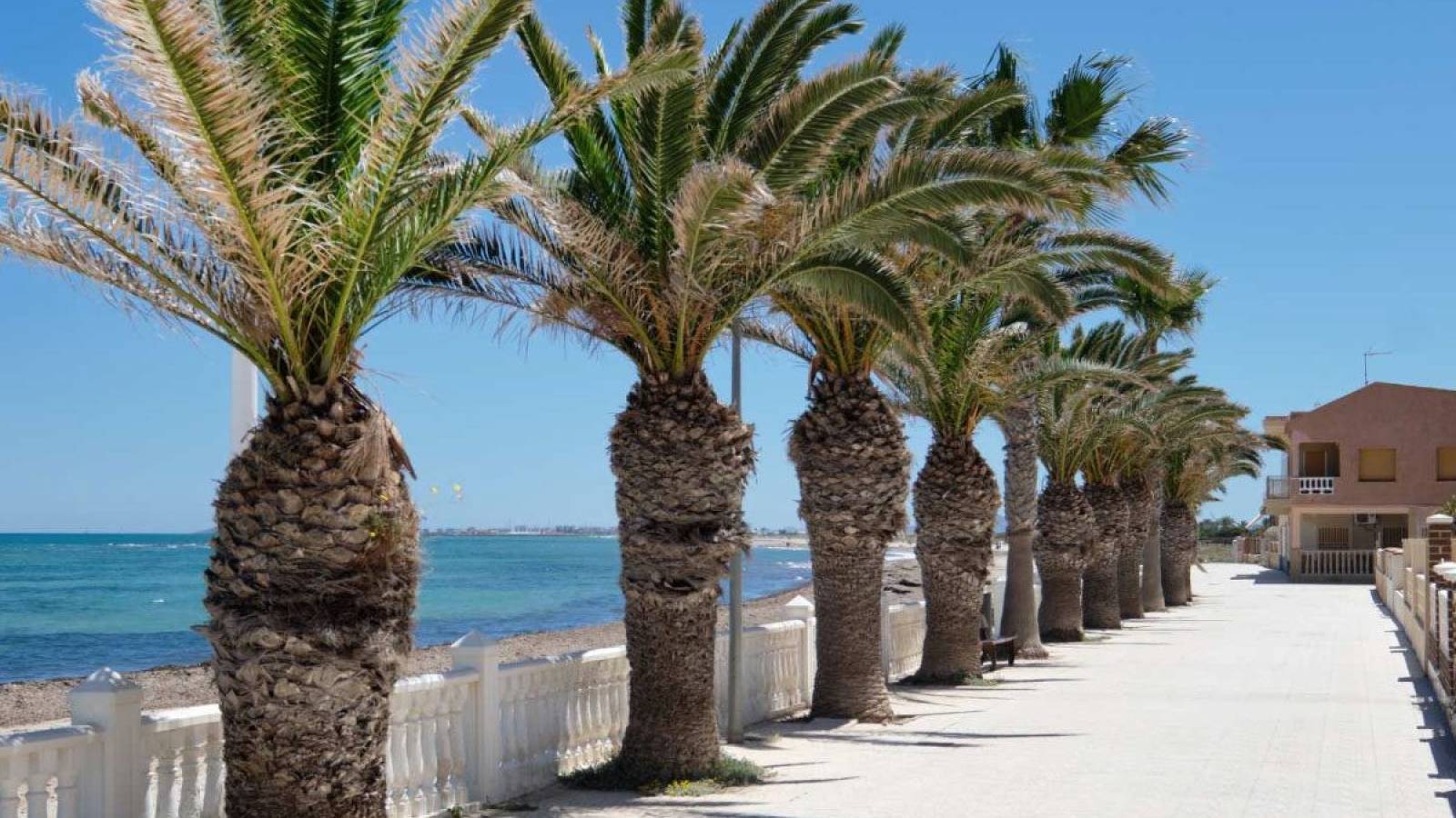 Nouvelle construction - Villa - Pilar de la Horadada