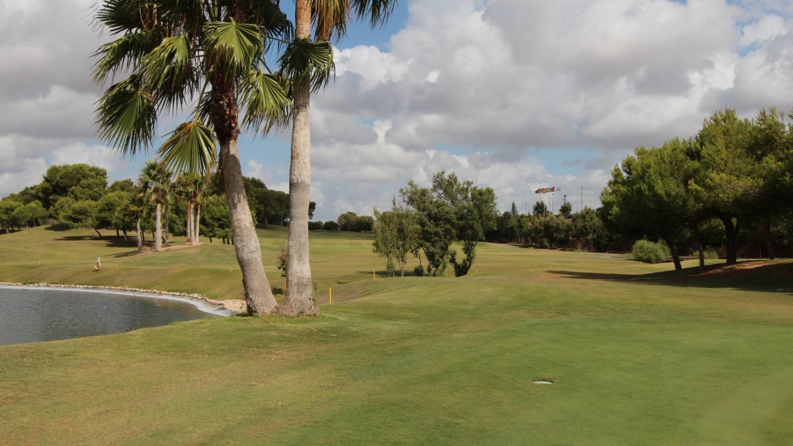 Nouvelle construction - Villa - Pilar de la Horadada