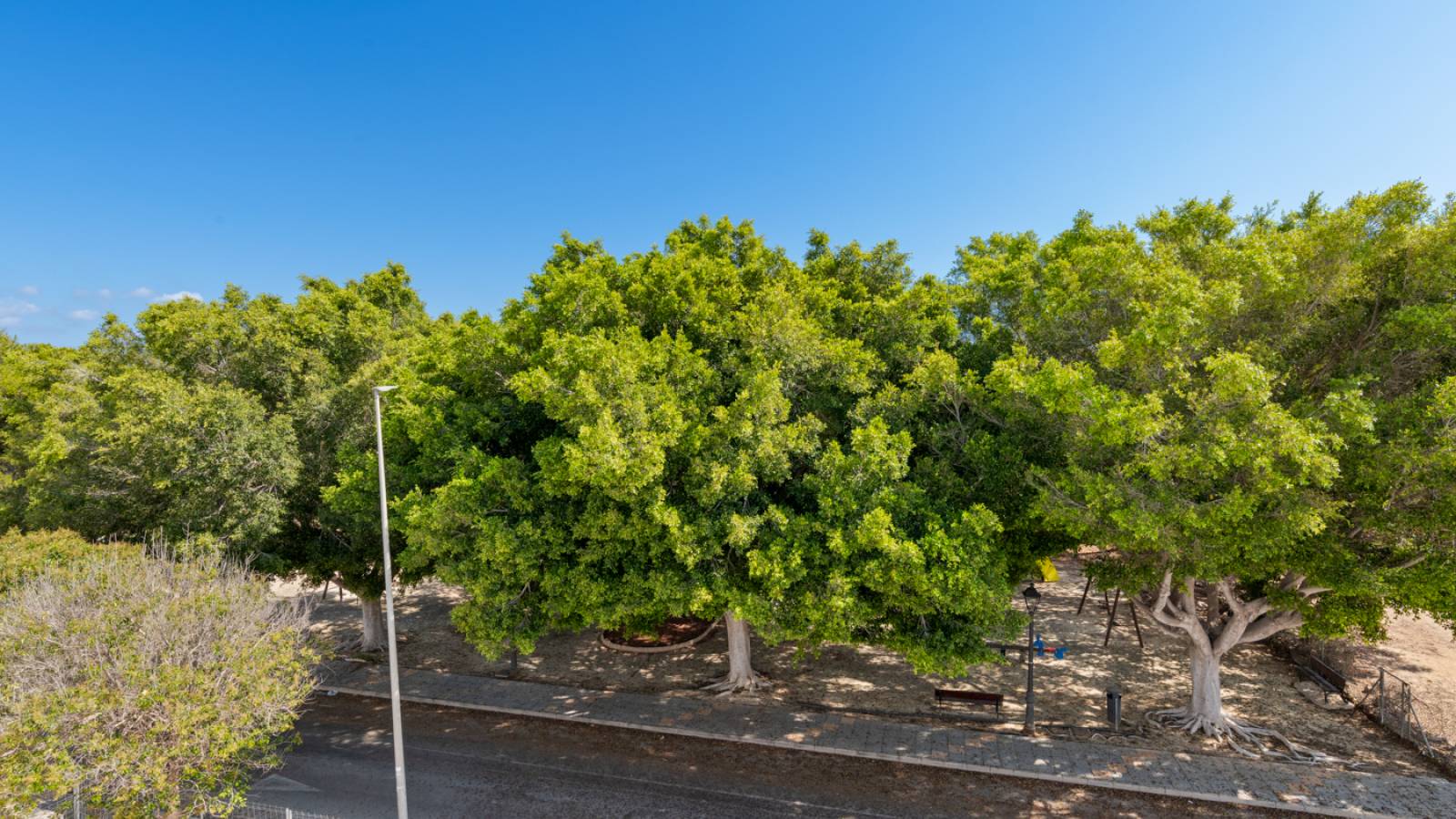 Nouvelle construction - Villa - Pilar de la Horadada