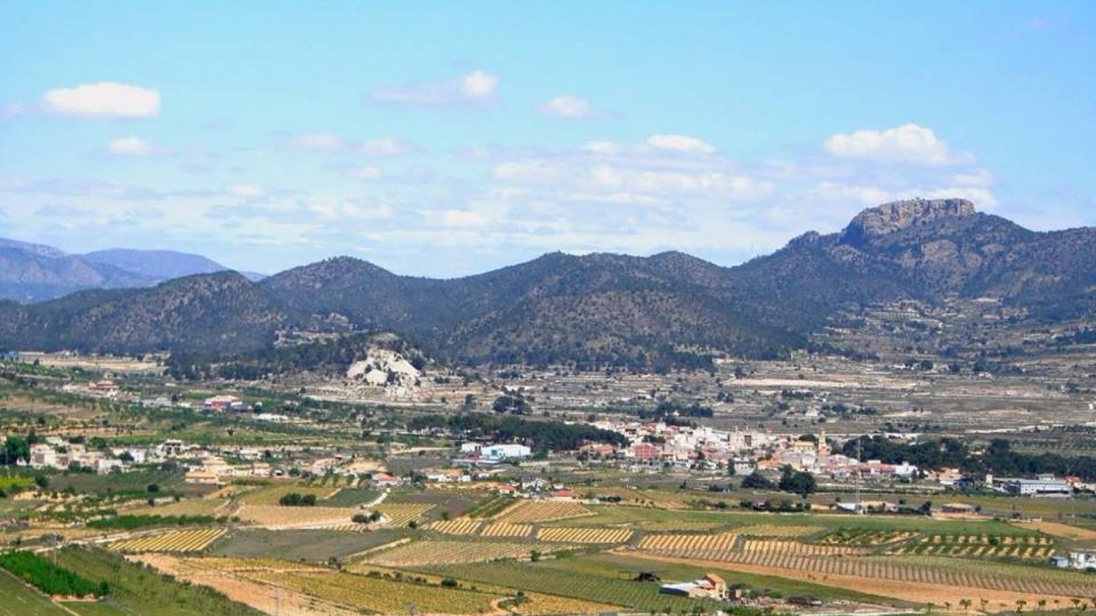 Nouvelle construction - Villa - Pinoso