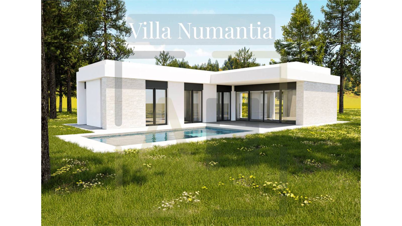 Nouvelle construction - Villa - Pinoso
