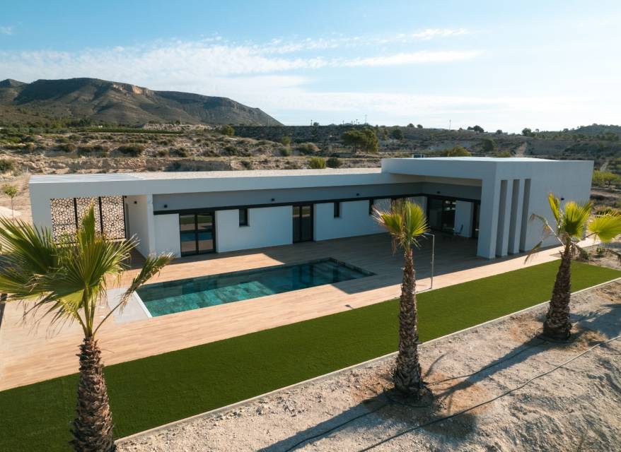 Nouvelle construction - Villa - Pinoso