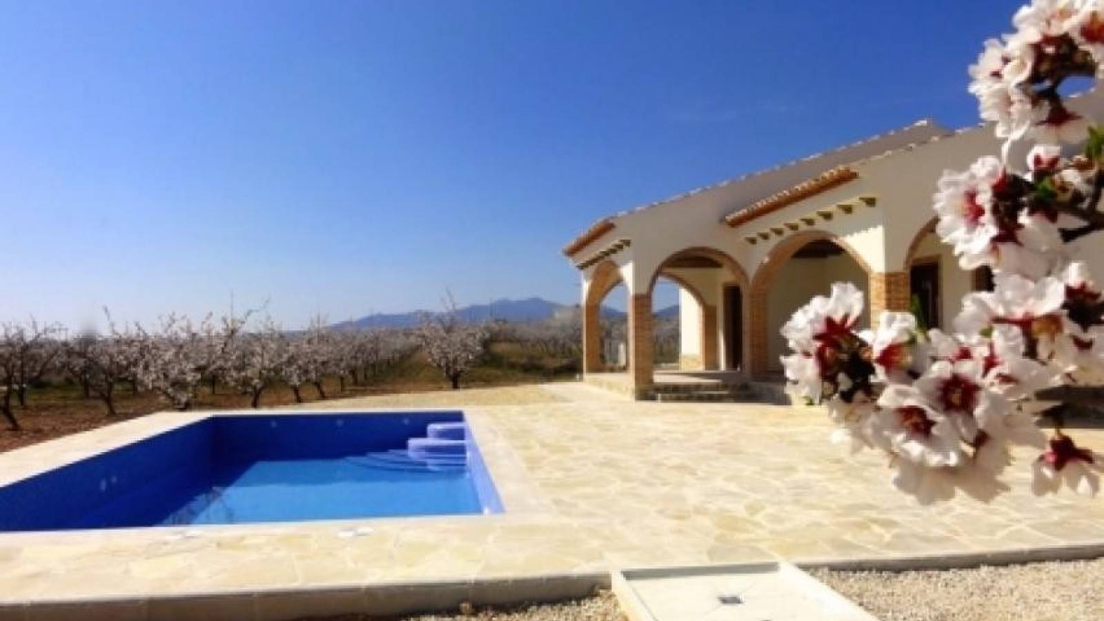 Nouvelle construction - Villa - Pinoso