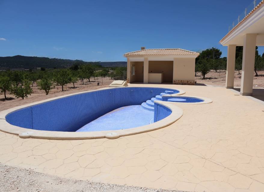 Nouvelle construction - Villa - Pinoso