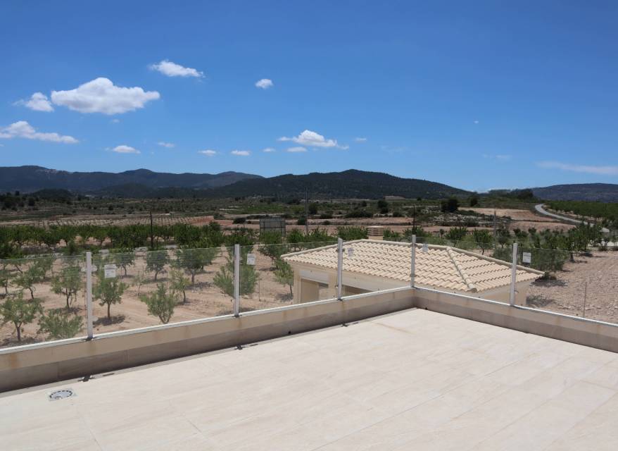 Nouvelle construction - Villa - Pinoso