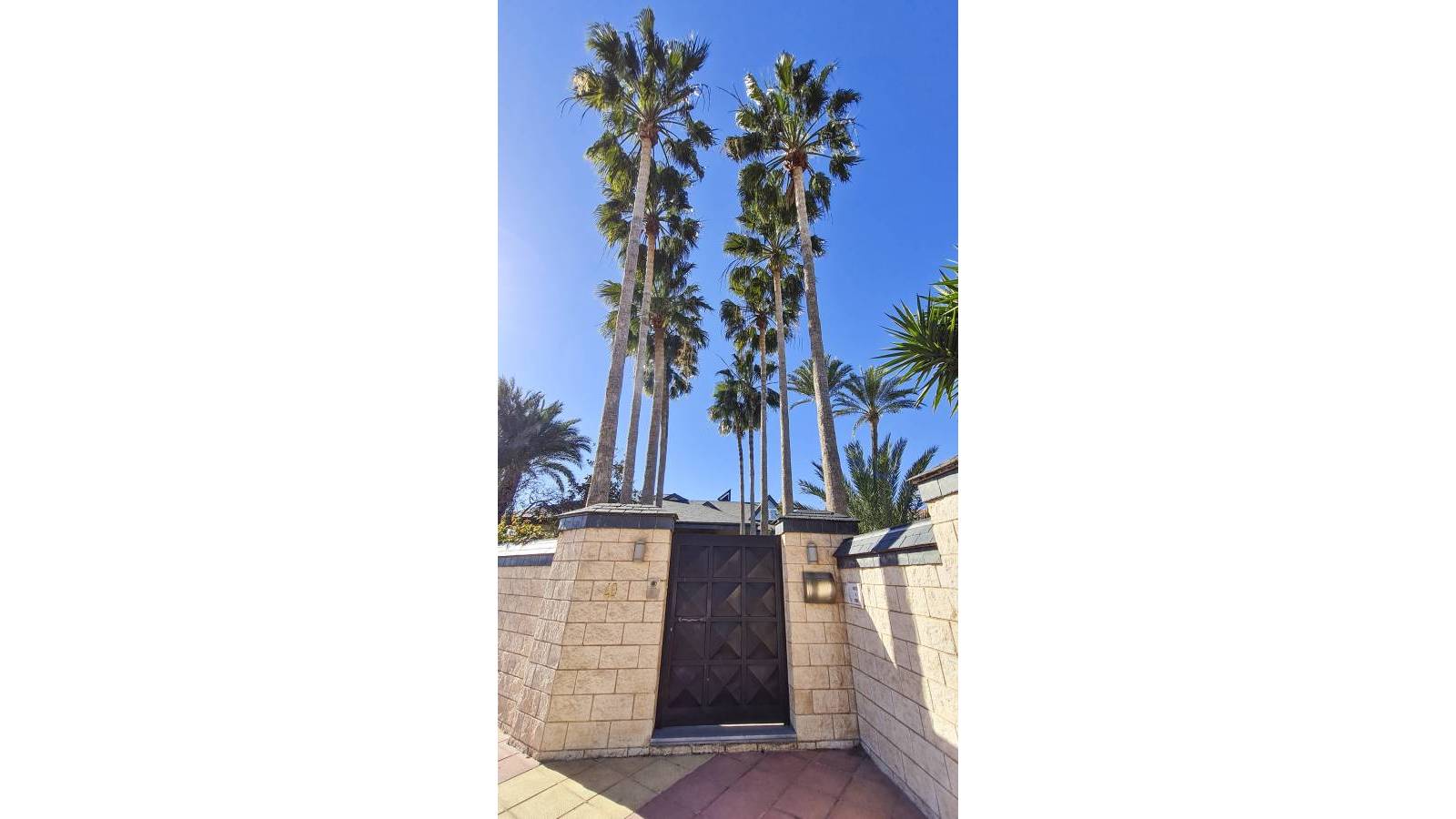 Nouvelle construction - Villa - San Pedro del Pinatar