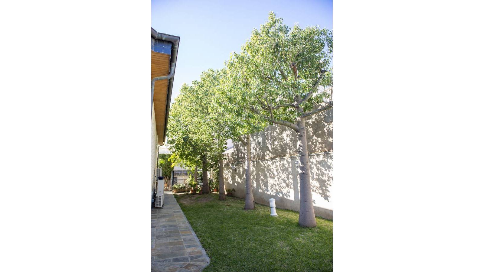 Nouvelle construction - Villa - San Pedro del Pinatar