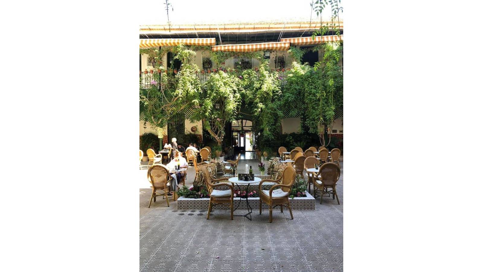 Nouvelle construction - Villa - Serena Golf