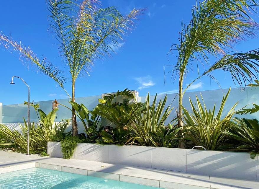 Nouvelle construction - Villa - Torrevieja